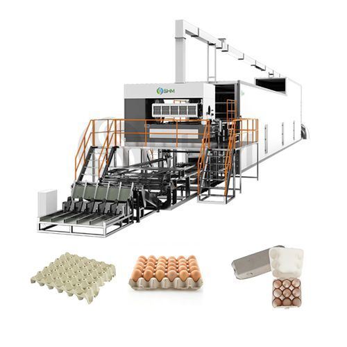 High Speed Automatic Egg Tray Making Machine (5000 pcs/hour) — Paper Pulp Production Line